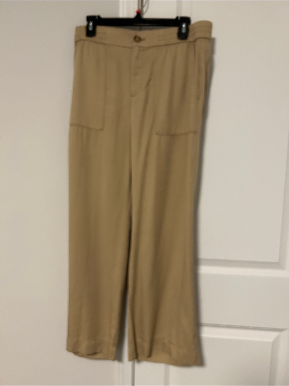 Loft Woman’s wide leg Pants in Tan